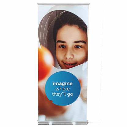 Immagine di Roll-up istituzionale B