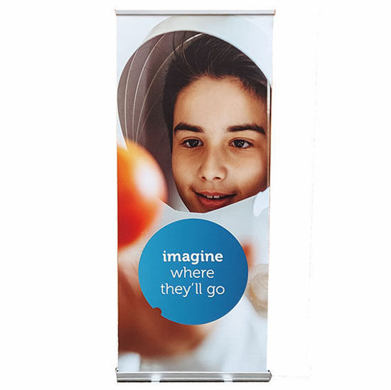 Immagine di Roll-up istituzionale B
