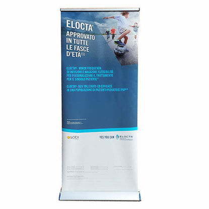 Immagine di Roll Up Elocta - Approvato a tutte le età
