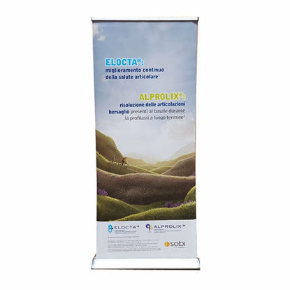 Immagine di Roll up Elocta Alprolix
