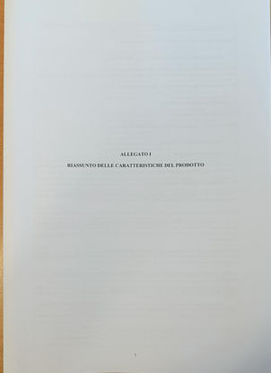 Immagine di RCP Tegsedi 19/04/2023
