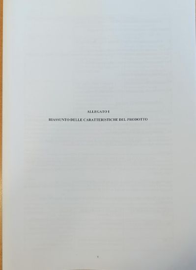 Immagine di RCP Tegsedi 19/04/2023
