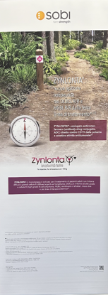 Immagine di Roll-up Zynlonta