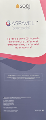 Immagine di Roll-up Aspaveli