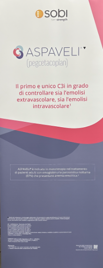 Immagine di Roll-up Aspaveli